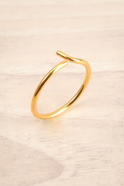 Lineo Doré Minimalist Gold Ring | La Petite Garçonne Chpt. 2 4