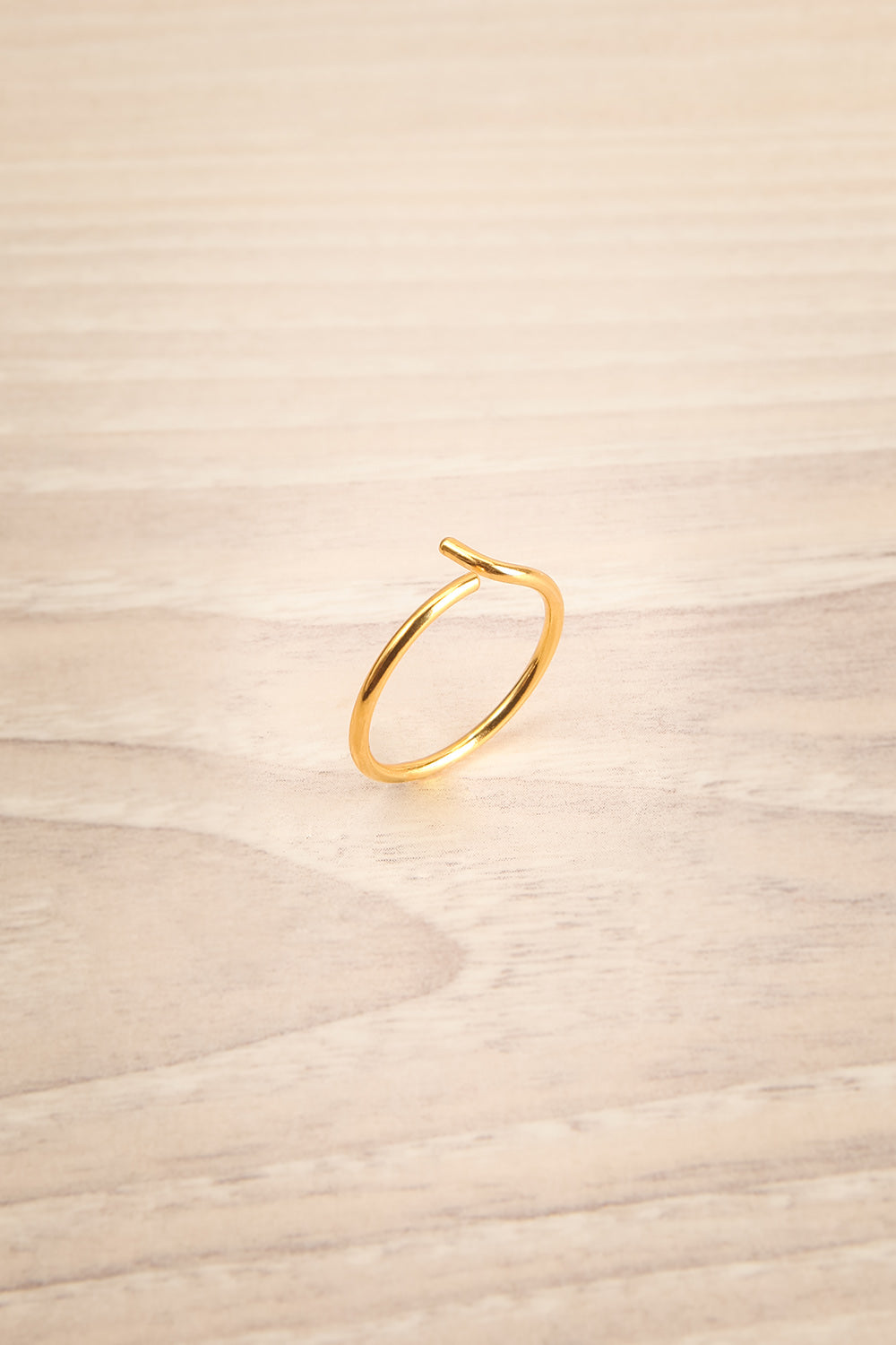 Lineo Doré Minimalist Gold Ring | La Petite Garçonne Chpt. 2 3