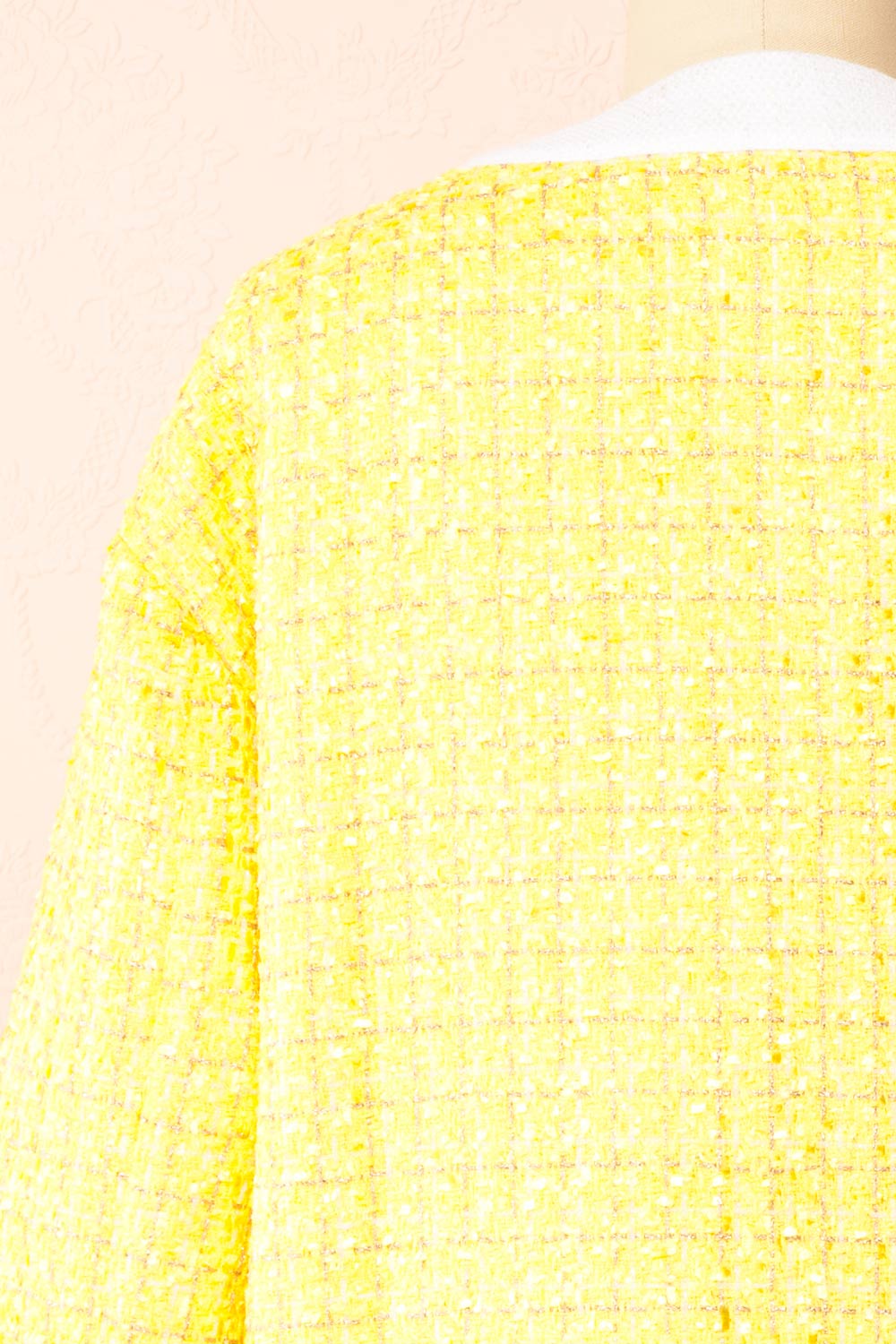 Lisane Shimmery Tweed Blazer | Boutique 1861 back close-up