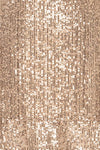 Lubana Silver Sequin V-Neck Shift Dress fabric detail | La Petite Garçonne