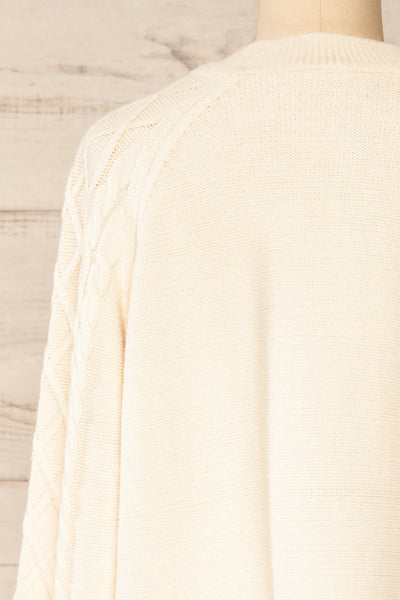 Ludus Knit Sweater w/ Round Collar | La petite garçonne back close-up