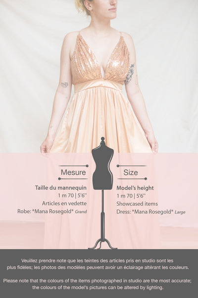 Mana Black Maxi Dress w/ Sequins | Boutique 1861 fiche
