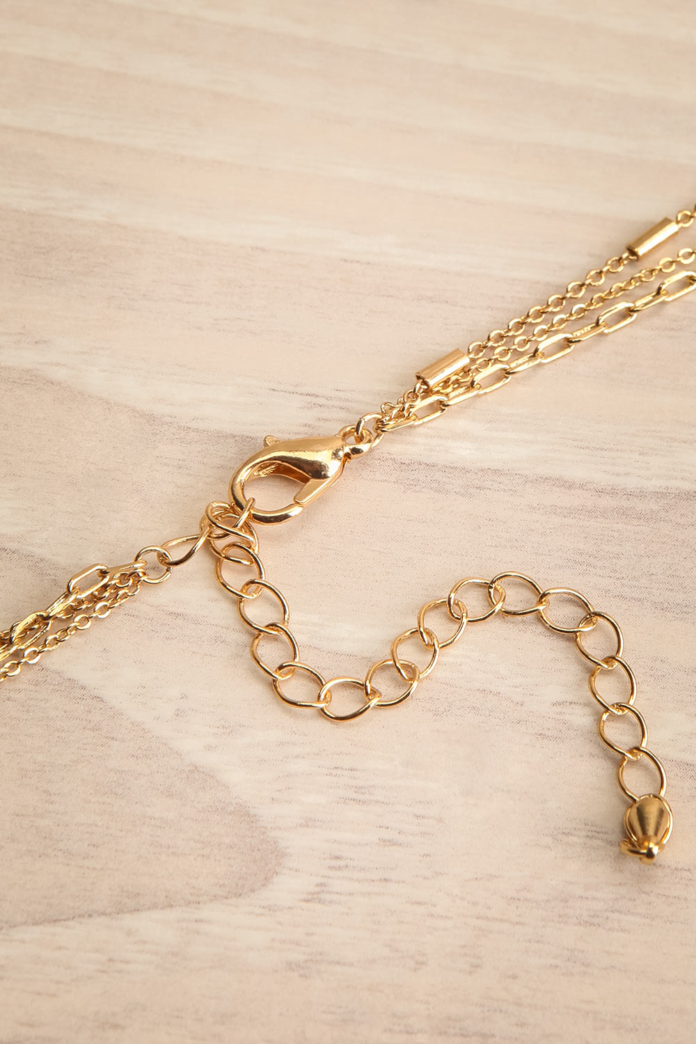 Notra Gold Layered Necklace w/ Medallion | La petite garçonne closure