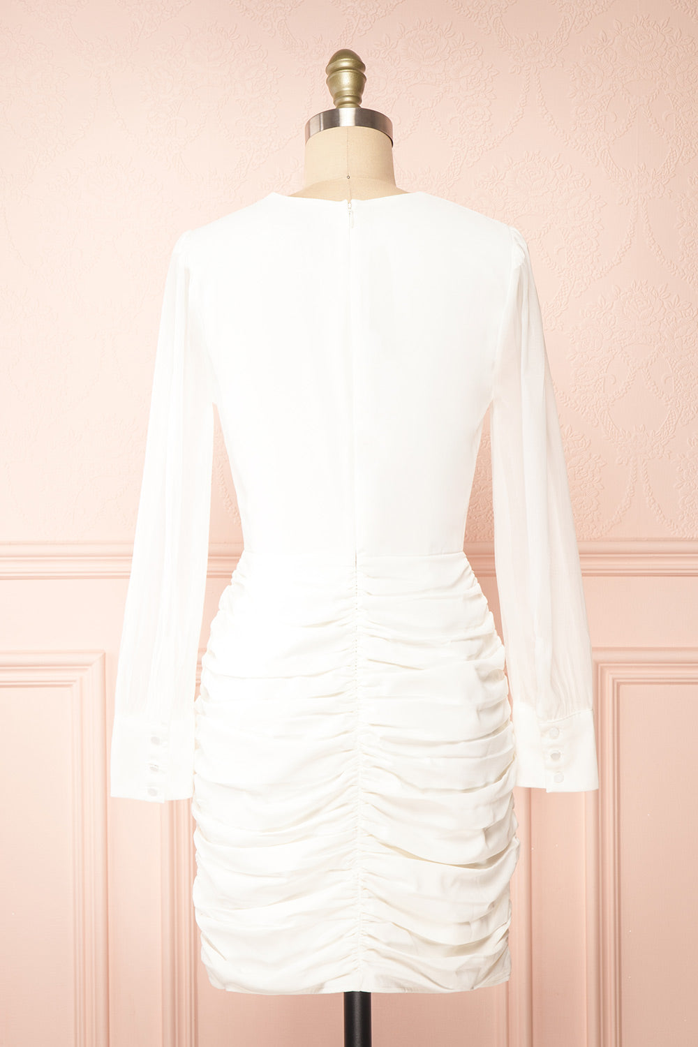 Ochako Ruched Mini Dress w/ Organza Sleeves | Boutique 1861 back view