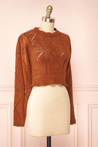 Okoye Rust Cropped Knit Sweater | Boutique 1861 side view