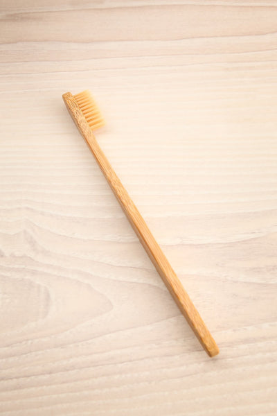 Olorua Toothbrush | Brosse à Dents | La Petite Garçonne Chpt. 2
