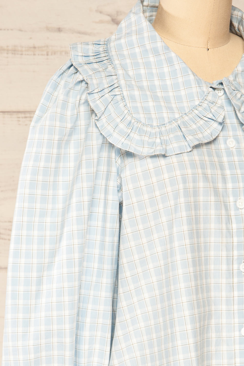 Olsztynek Checkered Blouse w/ Peter Pan Collar | La petite garçonne side close-up