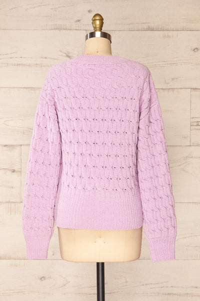Orenb Lavender Weave Knit Sweater | La petite garçonne back view