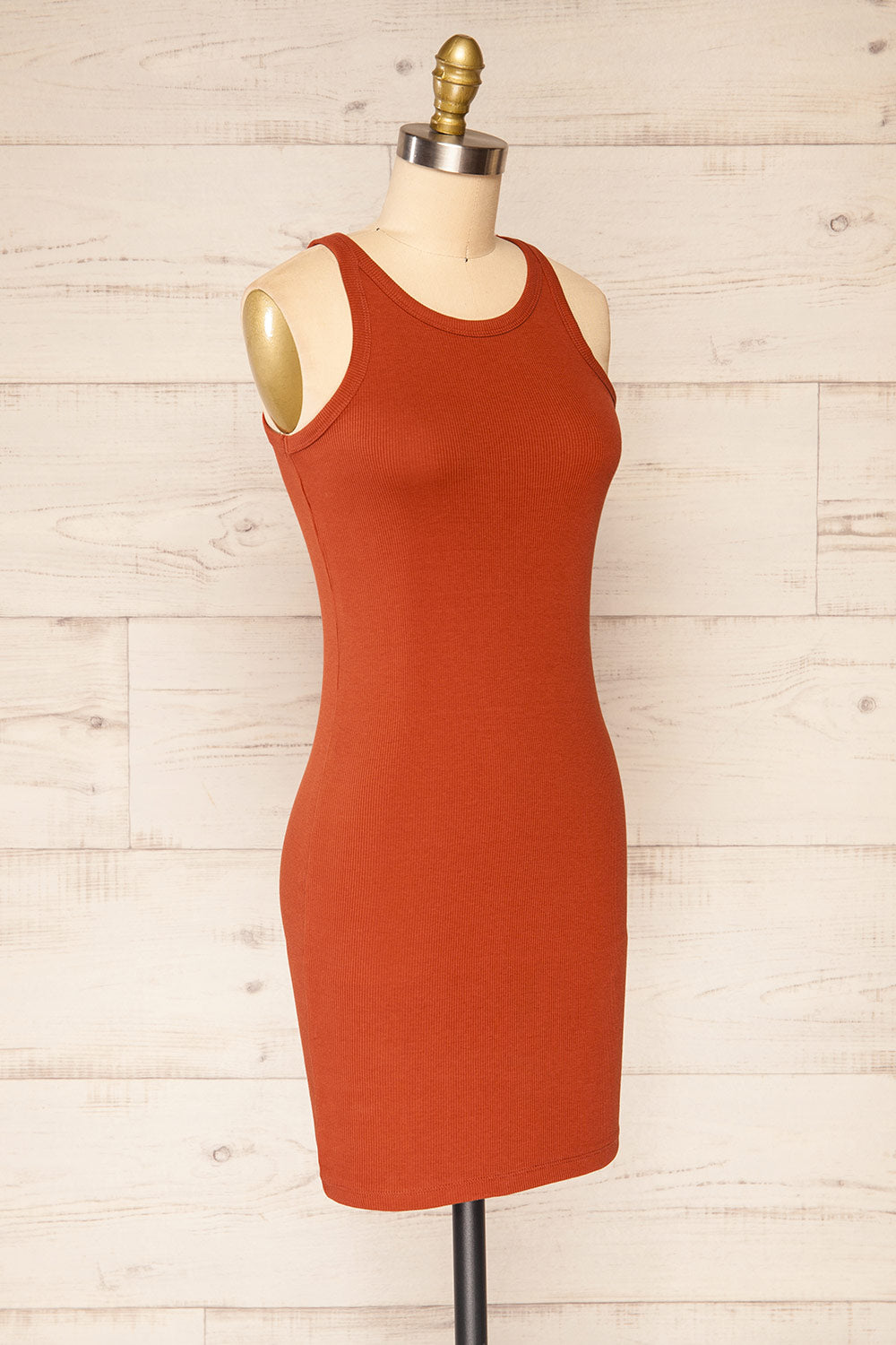 Orzesze Rust Ribbed Halter Neck Fitted Dress | La petite garçonne side view 