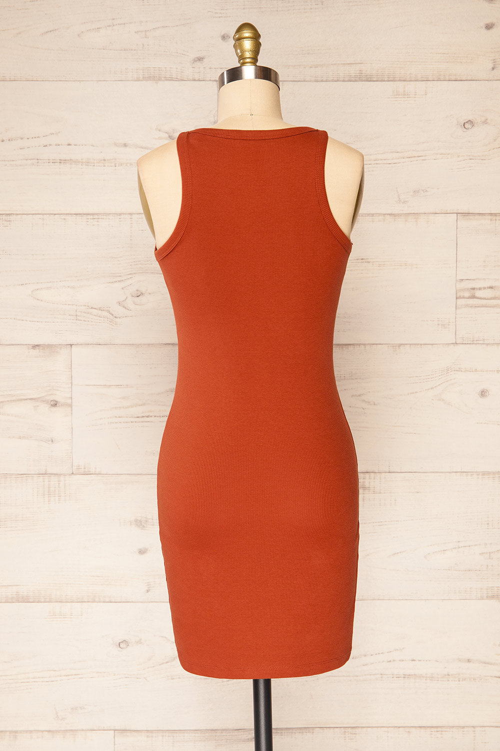 Orzesze Rust Ribbed Halter Neck Fitted Dress | La petite garçonne back view 