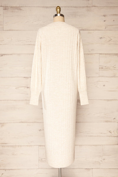 strorog Long Sleeve Knitted Maxi Dress | La petite garçonne  back view