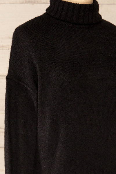Ozarow Turtle Neck Knit Dress w/ Long Sleeves | La petite garçonne  side close-up