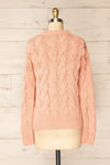 Paide Pink Cable Knit Sweater | La petite garçonne back view