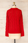 Paide Red Cable Knit Sweater | La petite garçonne back view