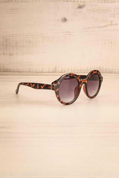 Payenne Brown & Black Sunglasses | La petite garçonne side view