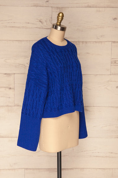 Pertosa Royal Blue Batwing Sleeves Sweater | La Petite Garçonne side view