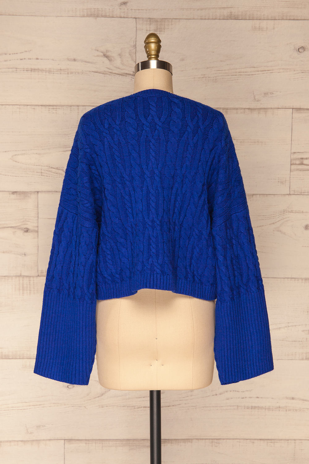 Pertosa Royal Blue Batwing Sleeves Sweater | La Petite Garçonne back view 