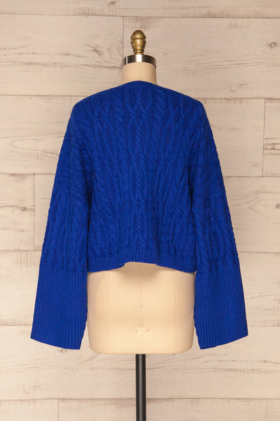 Pertosa Royal Blue Batwing Sleeves Sweater | La Petite Garçonne back view