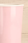 Pichet Rose Pink Cylindrical Pitcher | La Petite Garçonne Chpt. 2 5