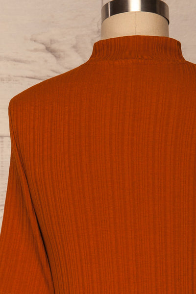 Pieszyce Rust Orange Mock Neck Top back close up | La petite garçonne