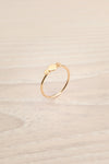 Piltene Gold Set of 10 Assorted Rings | La petite garçonne round