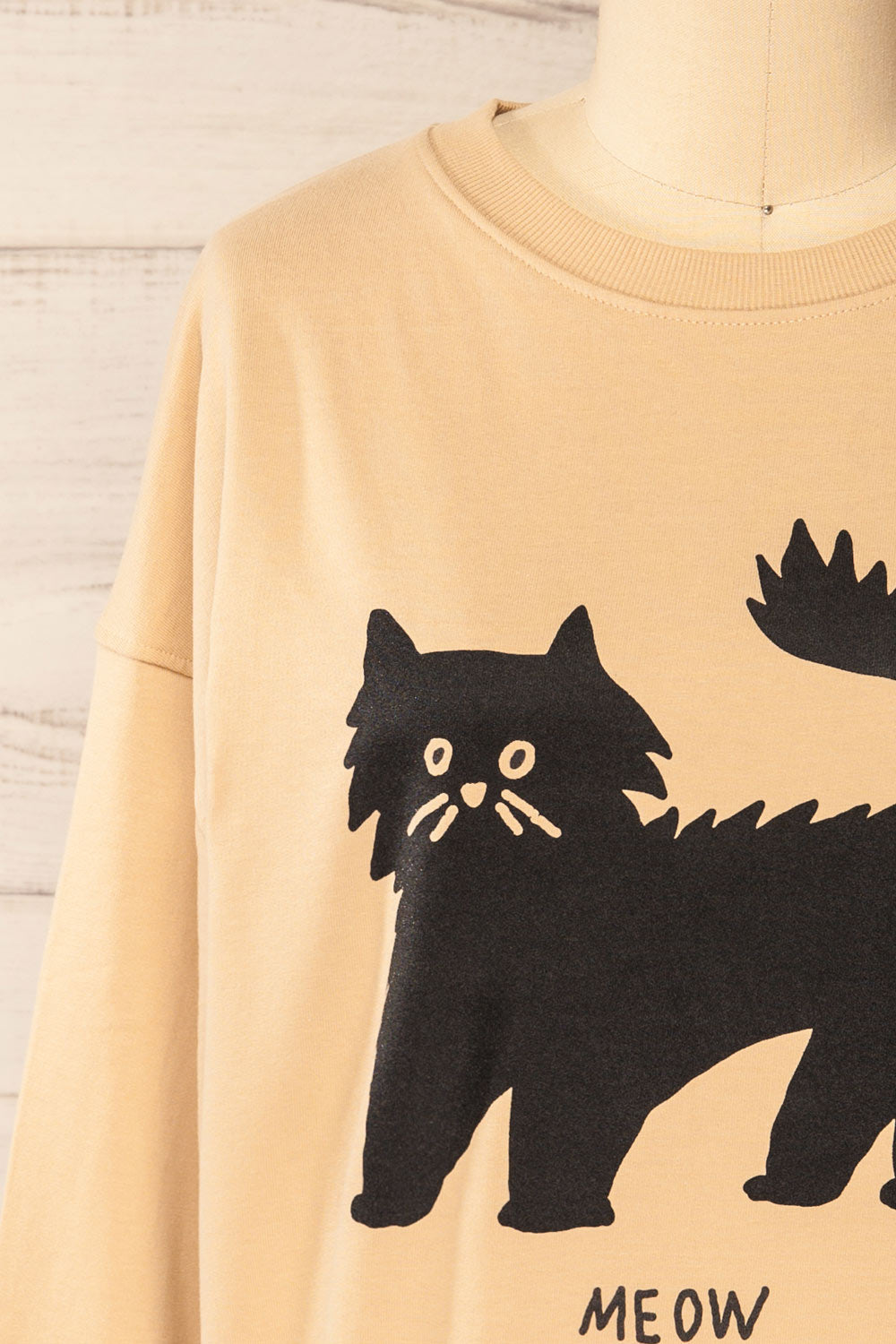 Pittsburgh Crewneck Sweatshirt w/ Cat Print | La petite garçonne front close-up