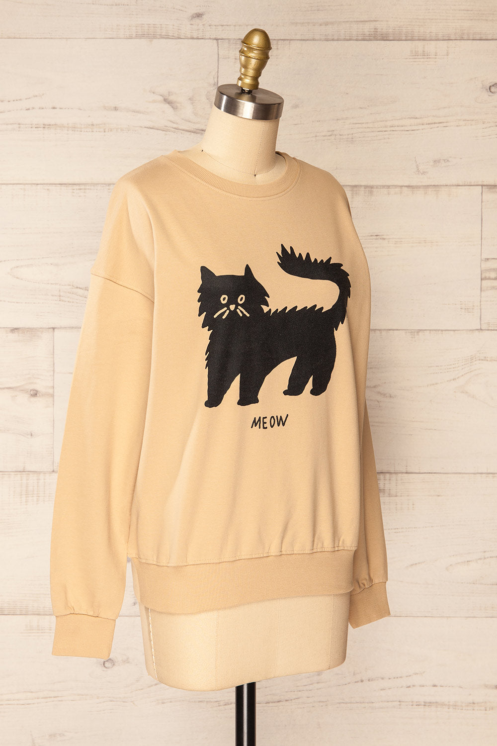Pittsburgh Crewneck Sweatshirt w/ Cat Print | La petite garçonne side view 