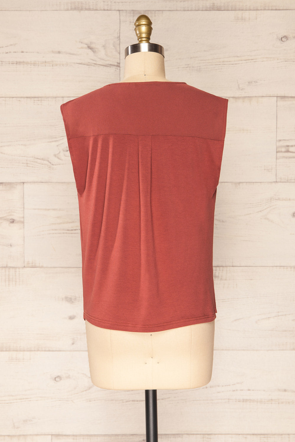 Plonsk Rust Sleeveless V-Neck Blouse | La petite garçonne back view