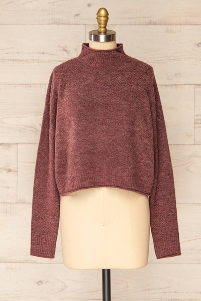 Pori Wine Soft Knit Mock Neck Sweater | La petite garçonne front view