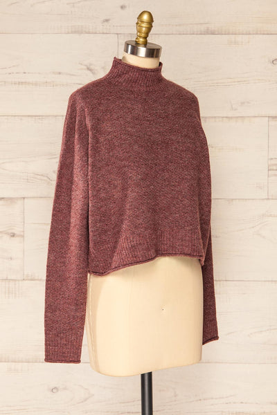 Pori Wine Soft Knit Mock Neck Sweater | La petite garçonne side view