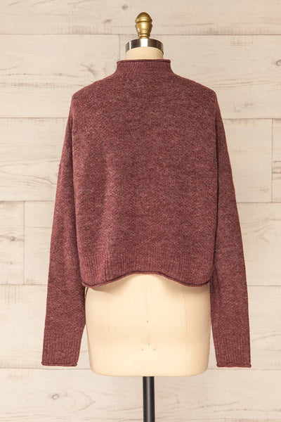 Pori Wine Soft Knit Mock Neck Sweater | La petite garçonne back view