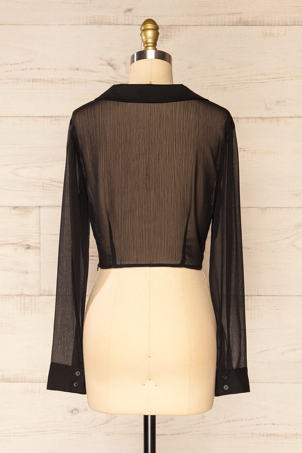 Primosten Cropped Twist-Front See-Trough Blouse | La petite garçonne back view