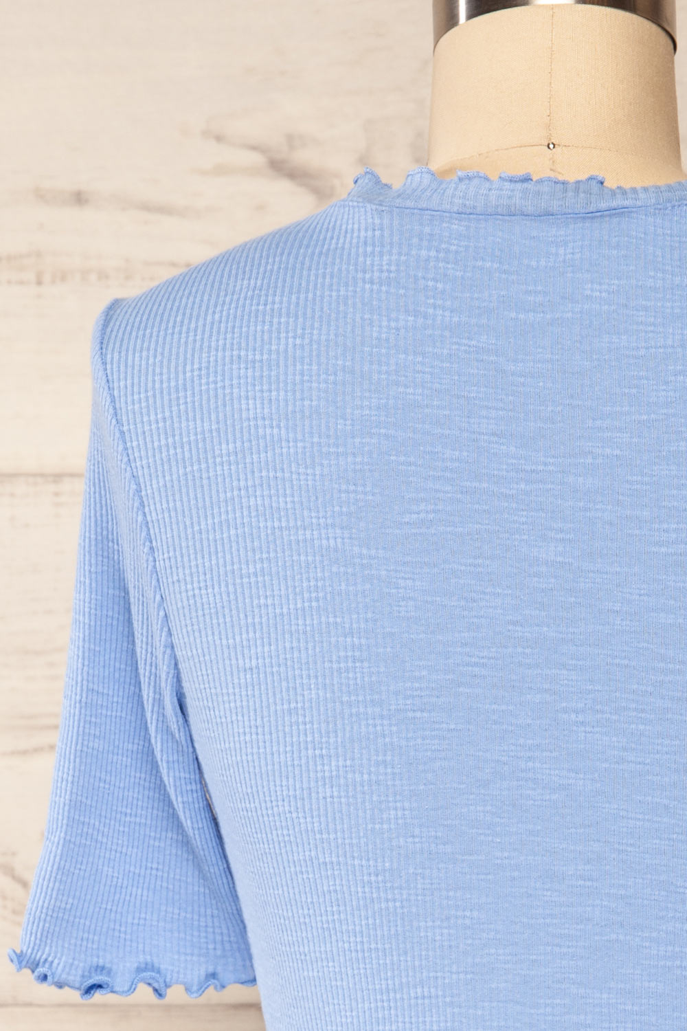 Pronoia Blue Ribbed Crop Top w/ Short Sleeves | La petite garçonne back close up
