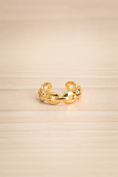 Quadran Gold Ring | La petite garçonne flat view