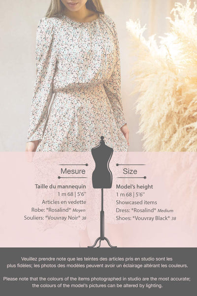 Rosalind Floral Long Sleeve Midi Dress | Boutique 1861 model infos