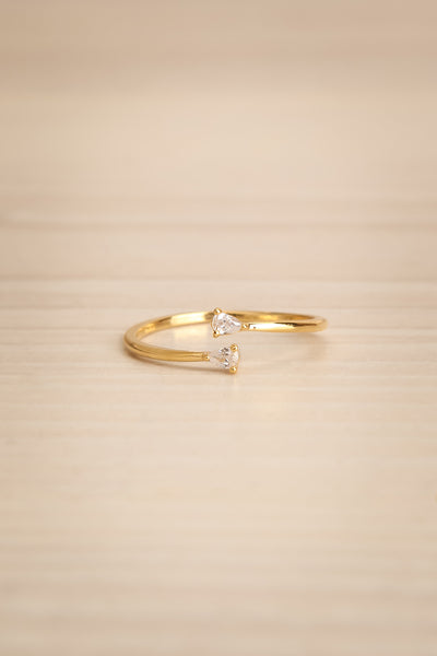 Routrar Gold Ring with Crystals | La petite garçonne flat view