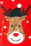 Rudolph Red Knit Christmas Sweater | Boutique 1861 fabric