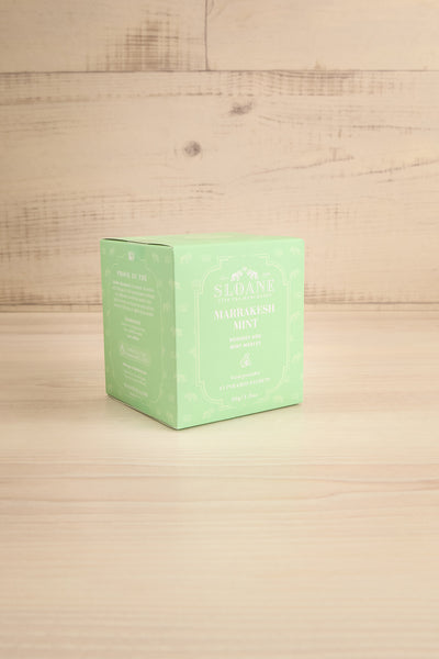 Sachets Marrakesh Mint Tea Bags | La petite garçonne box