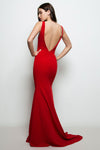 Sanya Red Mermaid Gown with Train | La Petite Garçonne back on model