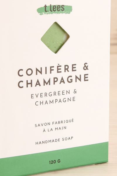 Savon Conifere et Champagne Perfumed Soap | La petite garçonne box close-up