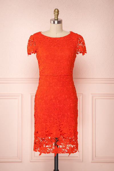 Sierramai Red Lace Fitted Cocktail Dress | Boutique 1861