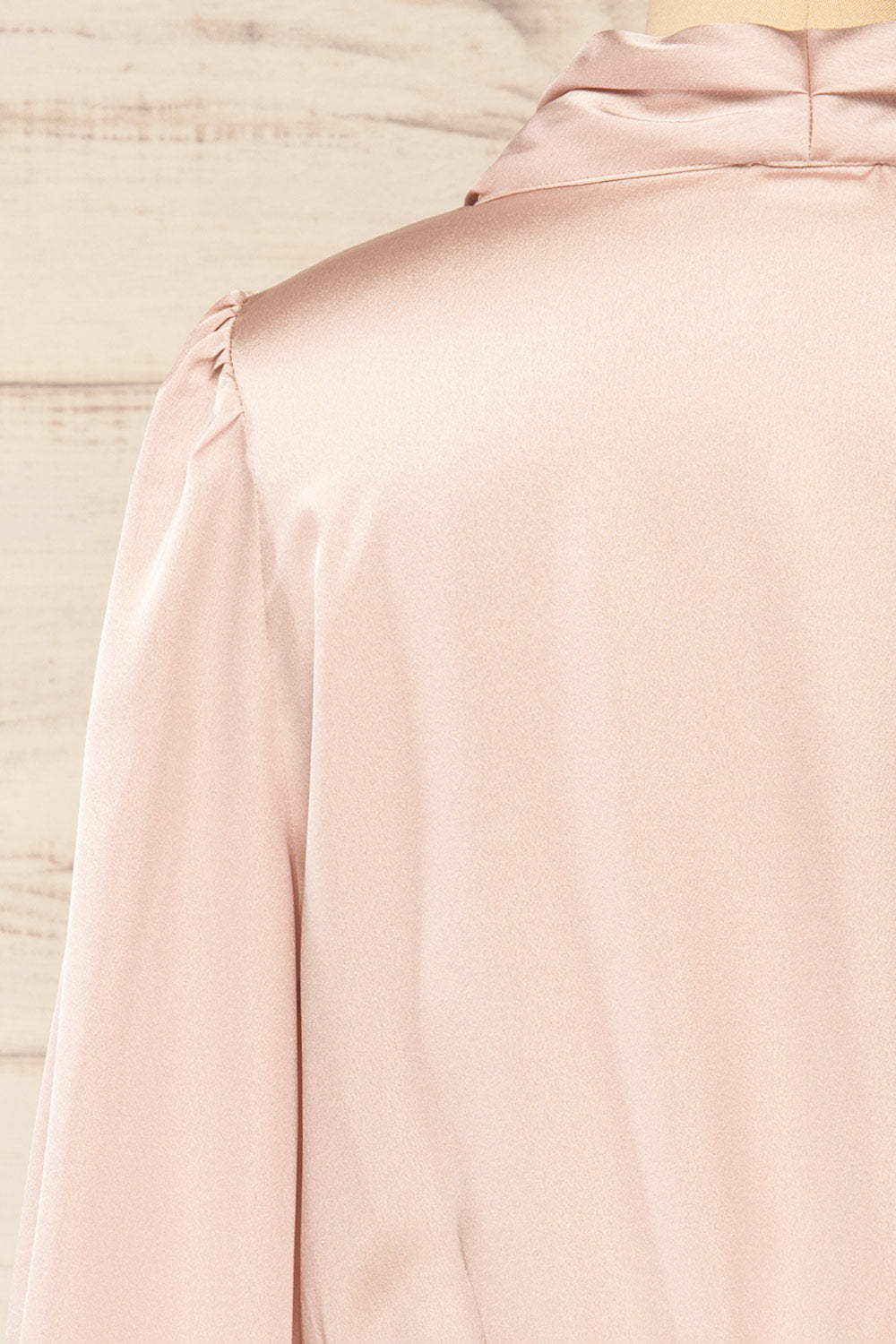 Sigvard Satin V-Neck Blouse | La petite garçonne back close-up