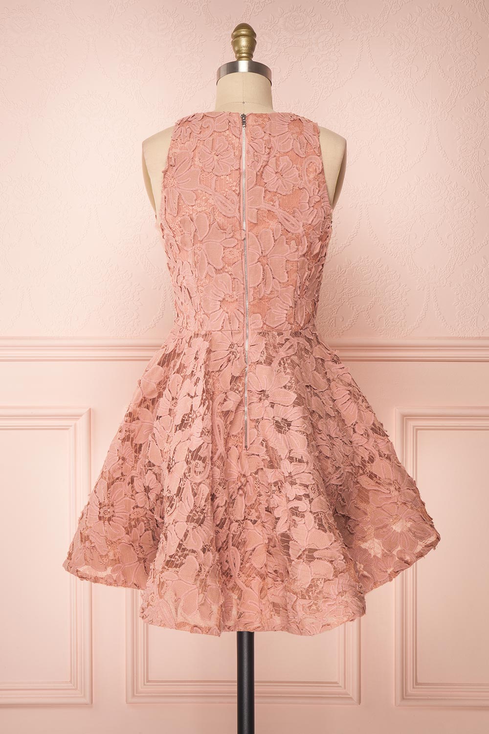 Sissilou Blush Lace Short A-Line Party Dress | Boutique 1861 back view 