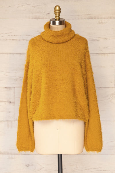 Titania Mustard Fuzzy Turtleneck Sweater | La petite garçonne front view