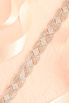 Tryphis Gold Crystal Ribbon Belt | Boudoir 1861 flat close-up