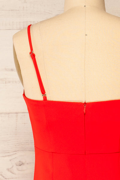 Vevey Red Fitted Midi Dress | La Petite Garçonne back close-up