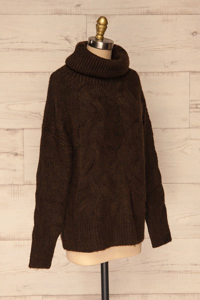 Vigo Brown Turtleneck Knit Sweater | La petite garçonne side view