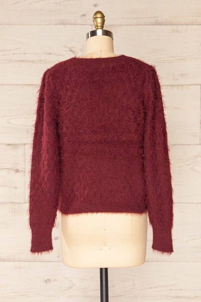 Vinitsa Burgundy Fuzzy V-Neck Sweater | La petite garçonne back view
