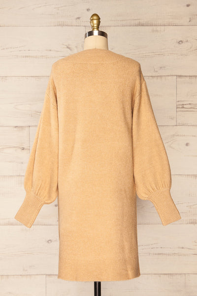 Wouna Short V-Neck Sweater Dress | La petite garçonne back view