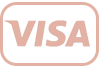 visa payment logo